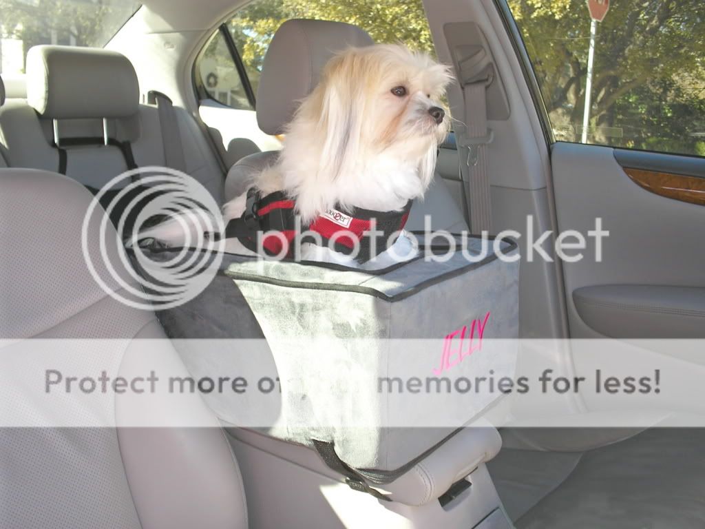 Pet Dog Cat Luxury Console Lookout Car Carrier Bed 12lbs Anthracite/BL Monogram eBay