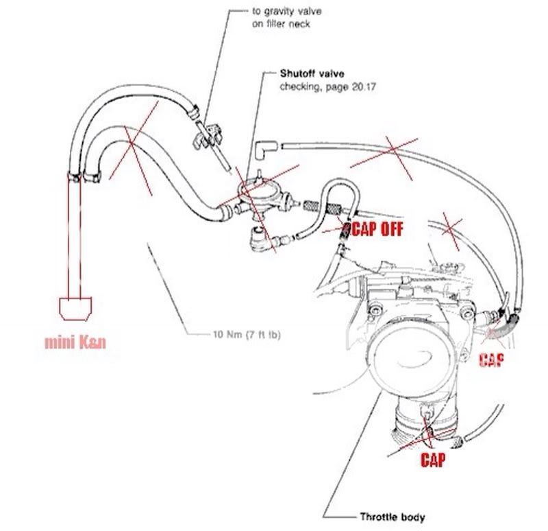 WANTEDG60 Carbon Canister VW Vortex Volkswagen Forum