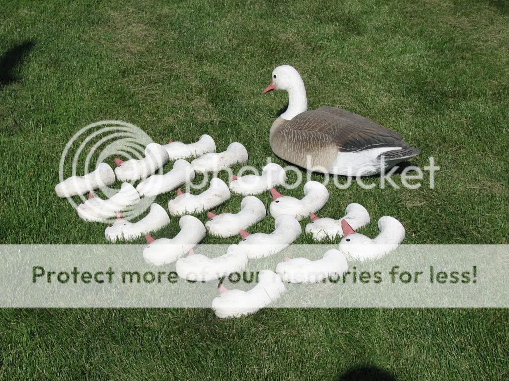 canada goose for sale craigslist canada goose for sale craigslist