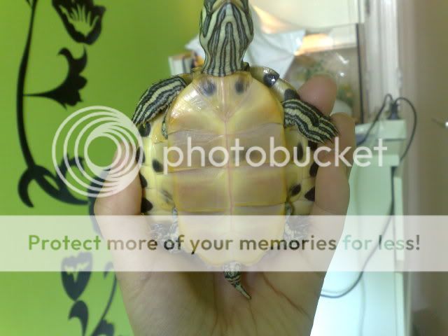 10042009630.jpg