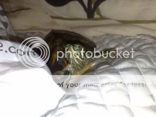 15042009638.jpg