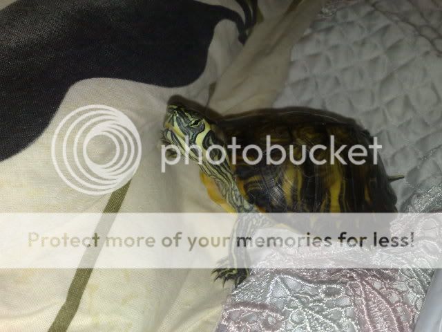 15042009640.jpg