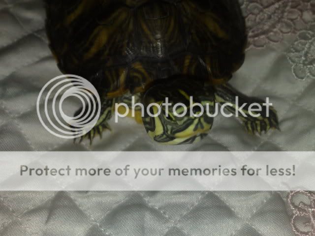 15042009643.jpg