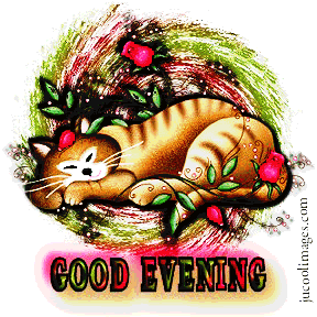 Evening Pictures, Images and Photos