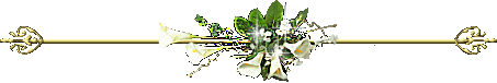 47.gif picture by zubia_2009