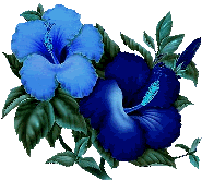 You Only Live Once! - FunXone