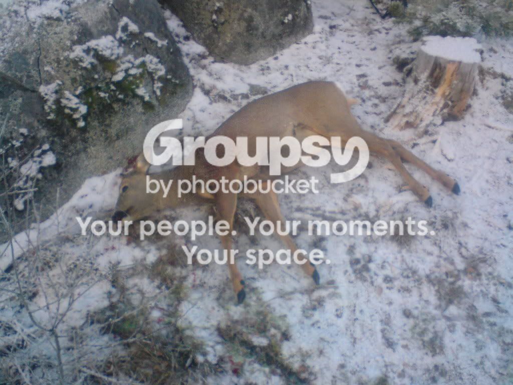 Bild579.jpg