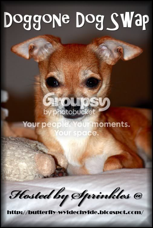Doggone Dog Swap @ Wyldechylde