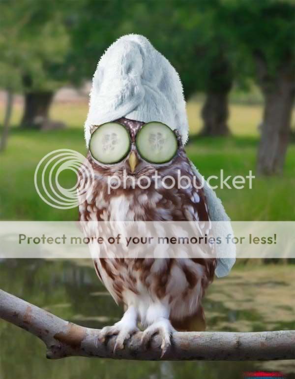 033_pics.jpg