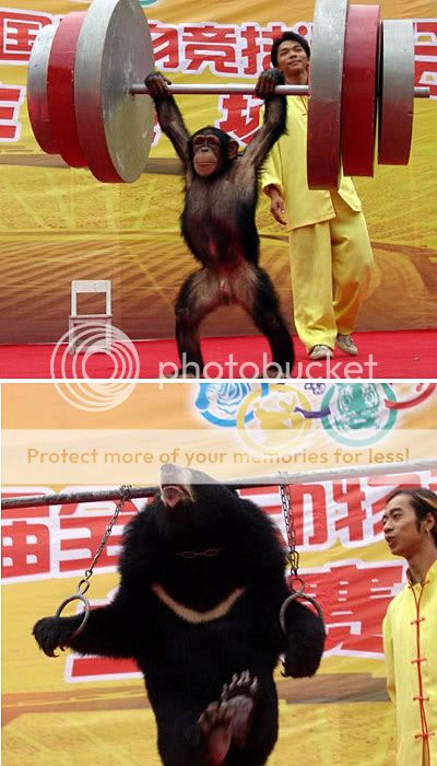 18jpgcxv.jpg
