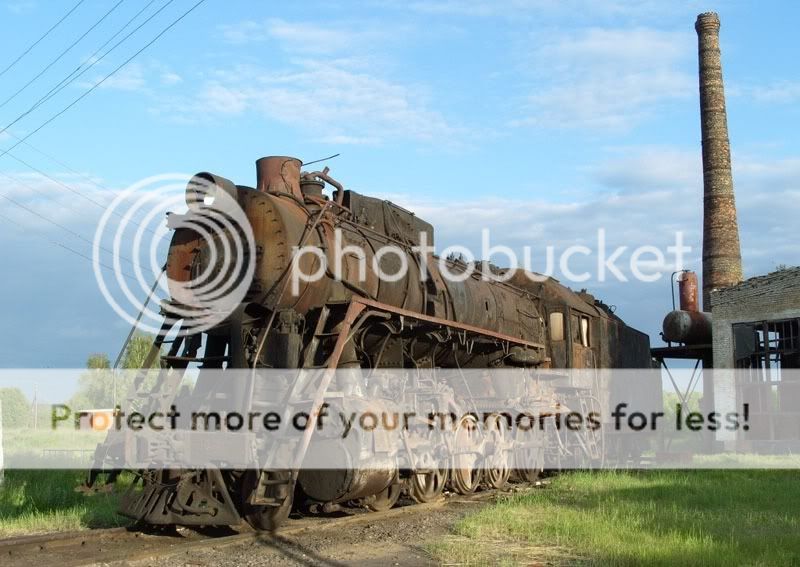 7d51118fef36.jpg