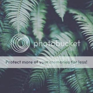 photo 8c66c763-1926-4b81-996a-fc0a0d1609fc_zpsb6asnjt4.jpg