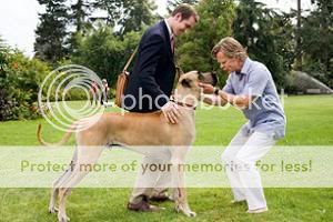 Marmaduke
