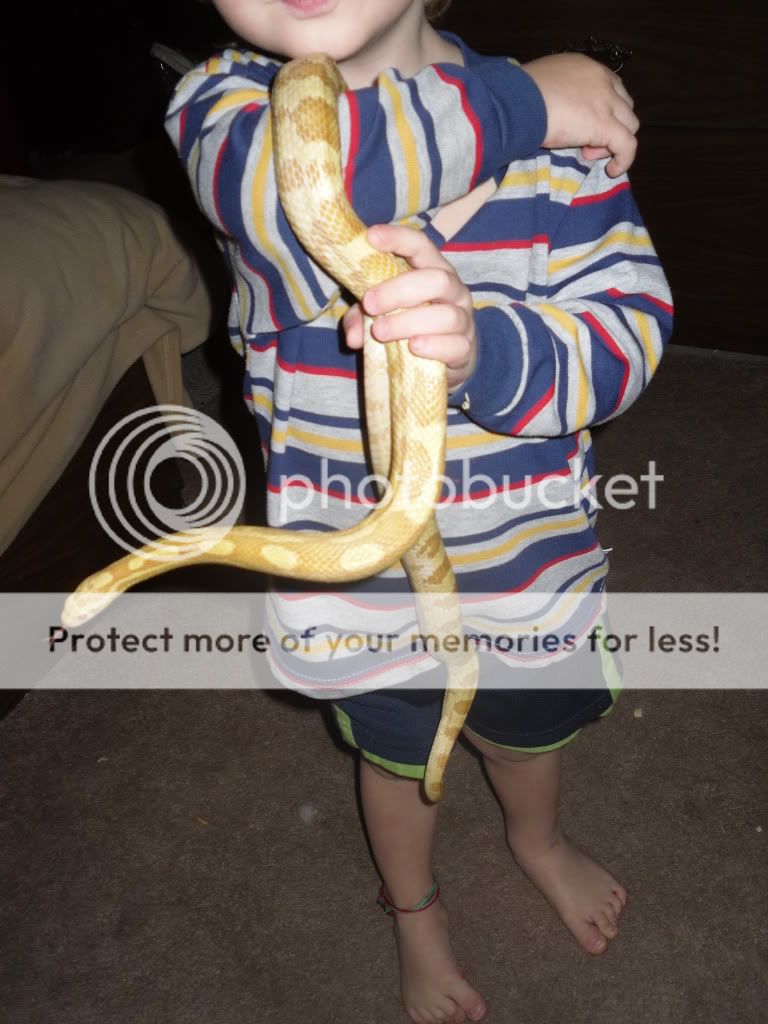 Gumby1.jpg